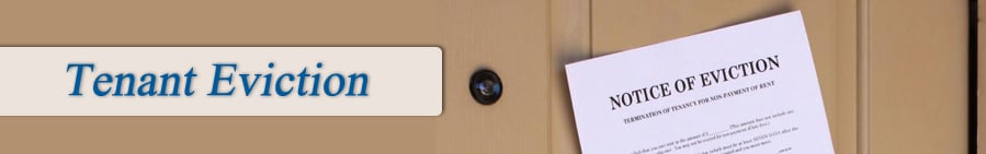 Tenant Eviction