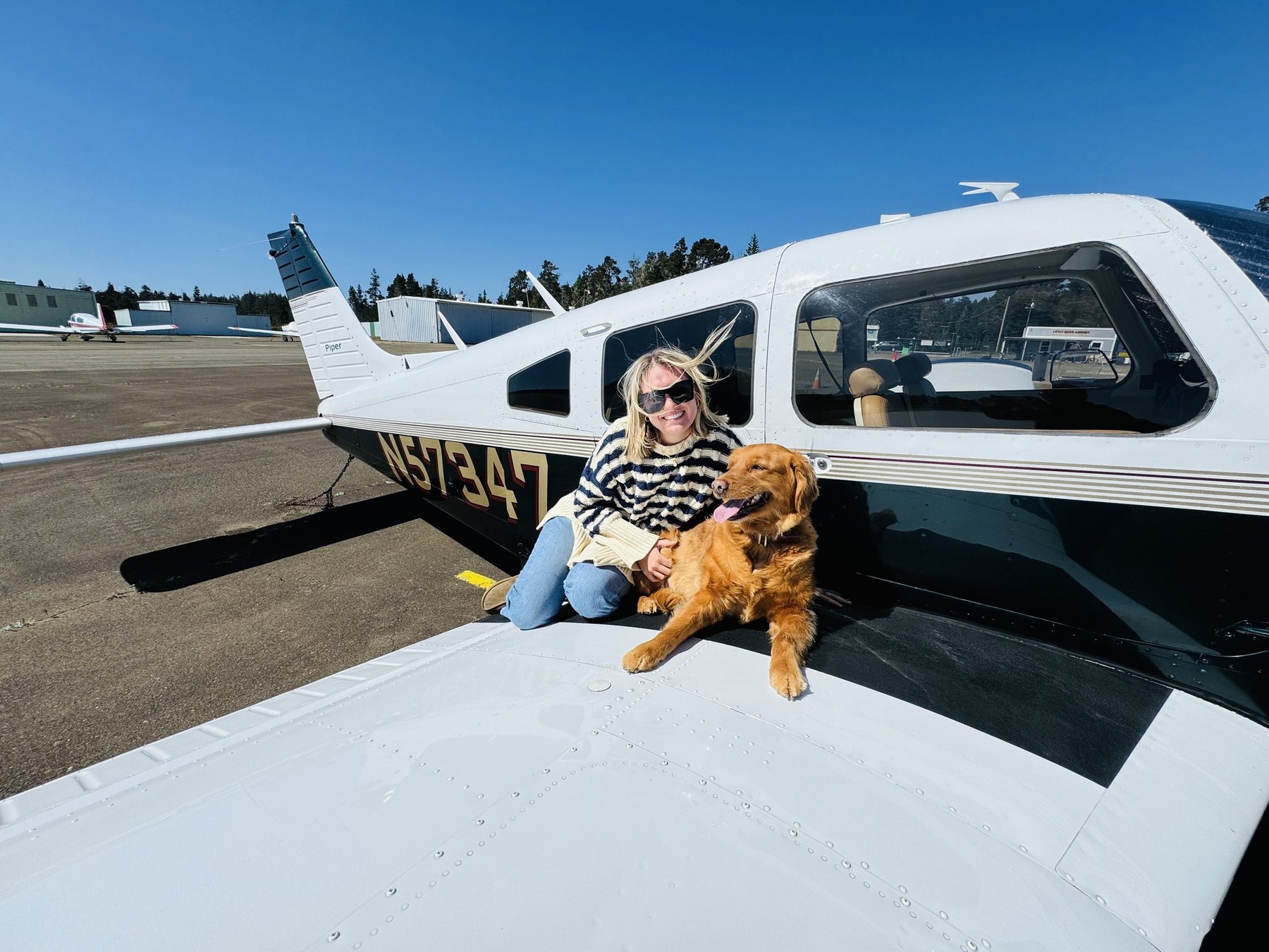 Piper parked on the runway with Lola the golden retriever sitting on the wing